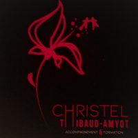 logo entreprise : Christel THIBAUD- AMYOT